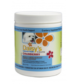 Cat Urinary Tract Infection
